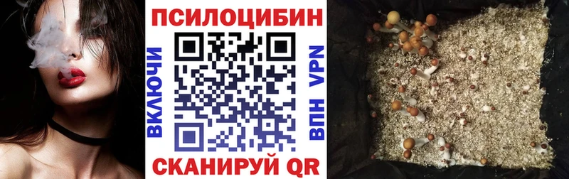Галлюциногенные грибы Magic Shrooms  наркотики  Георгиевск 
